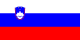 Slovénie flag